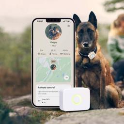 Lildog GPS til Hunden med Aktivitets Tracker Hvid